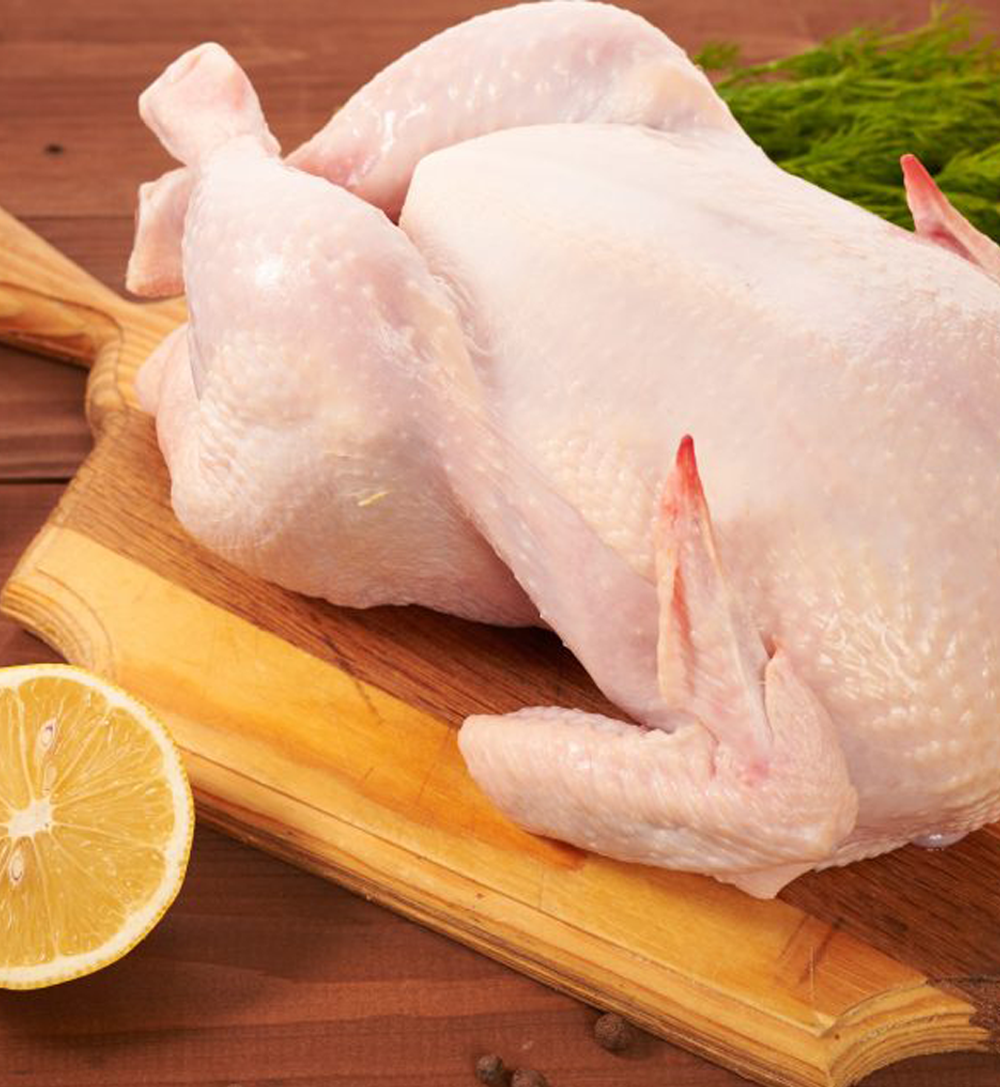 Raising Meat Chickens Workshop - June 10th