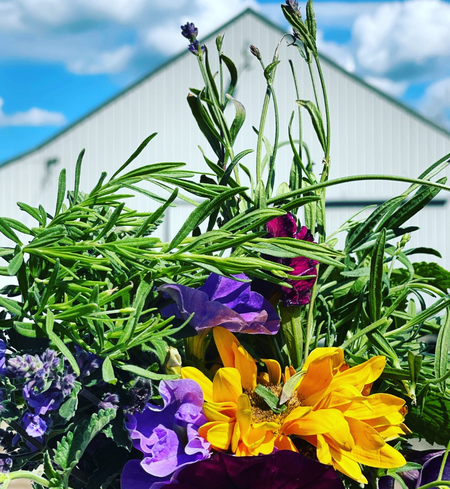 Flower Pot