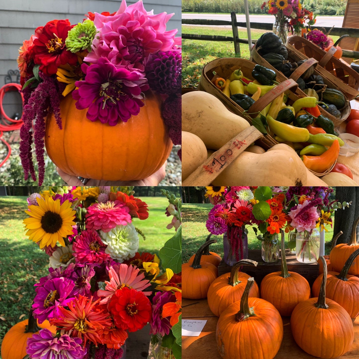 Pumpkin Centerpiece