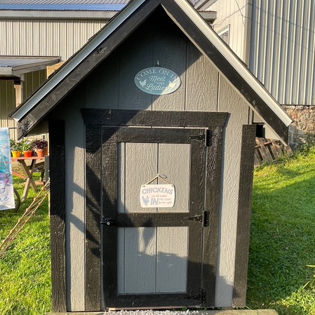 Chicken Coop/Hen House "High Hat"