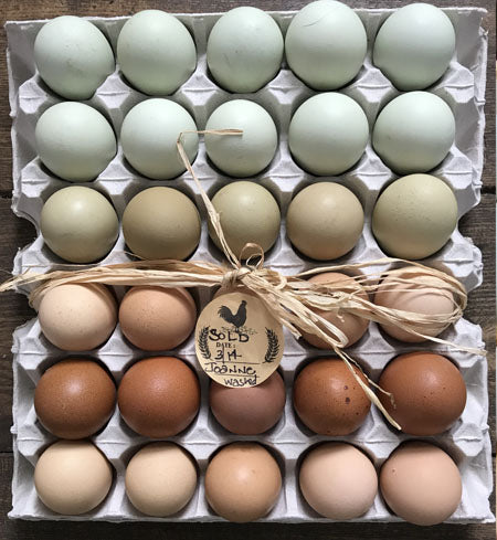 Eggs (Farm Fresh, pasture raised)