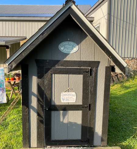 Chicken Coop/Hen House "High Hat"